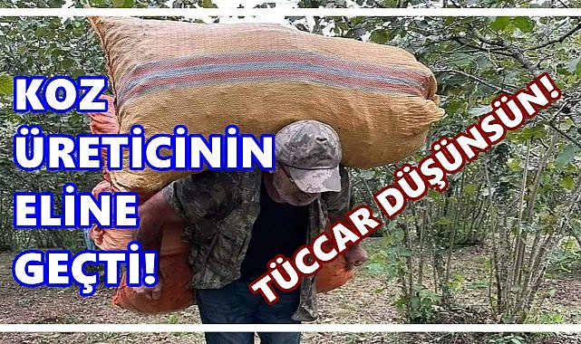 Fındık Fiyatı 5 Eylül 2025 Cuma