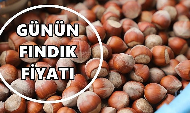Fındık Fiyatı 6 Eylül 2025 Cumartesi