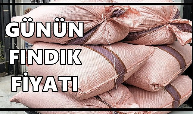 Fındık Fiyatı 7 Eylül 2025 Pazar