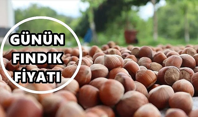Fındık Fiyatı 8 Eylül 2025 Pazartesi