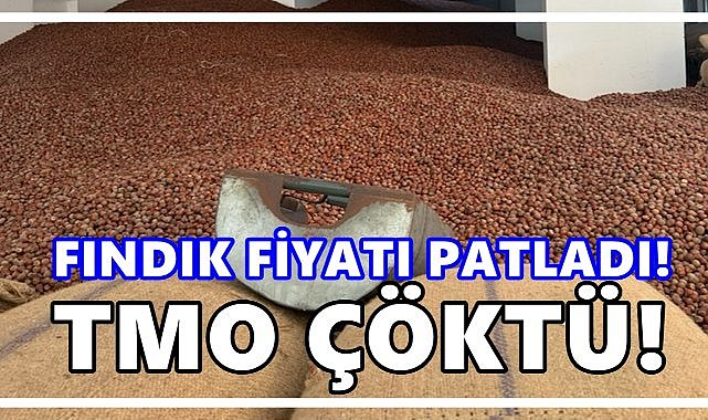 Fındık Fiyatı Patladı!