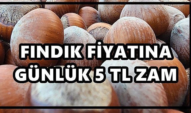 Fındık Fiyatına Günlük 5 TL Zam