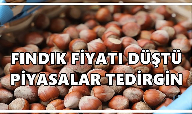 Fındık Fiyatları Düştü, Piyasalar Tedirgin