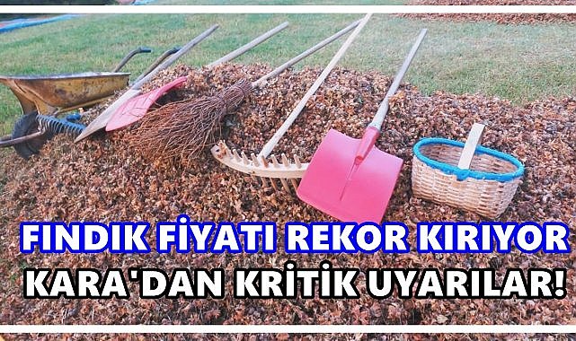 Fındık Fiyatları Rekor Kırıyor: Şinasi Kara’dan Kritik Uyarılar