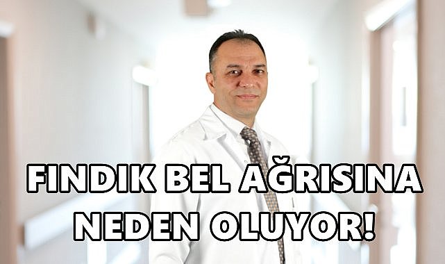 Fındık işçilerinde bel fıtığı vakaları artıyor
