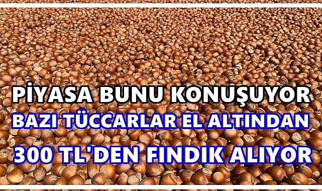 Fındıkta 300 TL Polemiği; Bazı Tüccarlar El Altından 300 TL&#039;ye Fındık Alıyor!