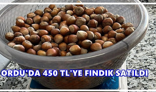 Fındıkta A.A Kalite 700 TL, Teselli Fiyatı 450 TL