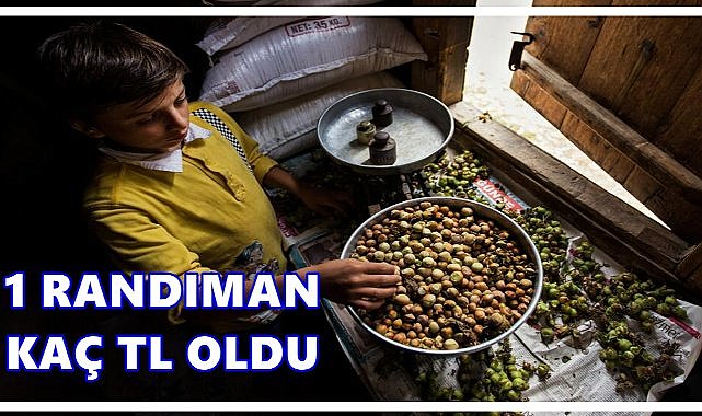 Fındıkta Randıman Fiyatları Yeniden Belirlendi;60 Randıman Fındık 360 TL