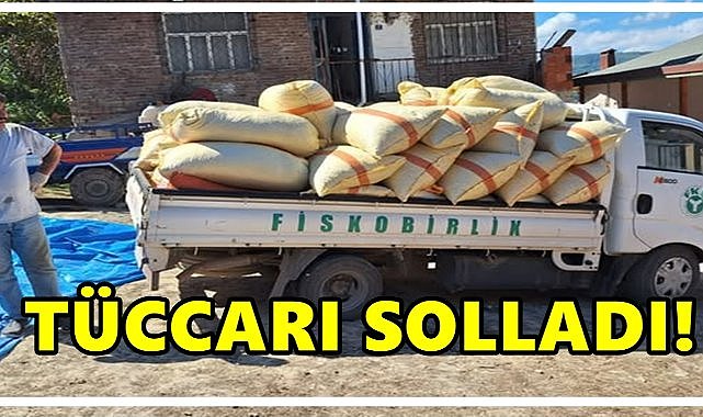 Fındıkta Rekor Güncelleme: Fiskobirlik Tüccarı Solladı