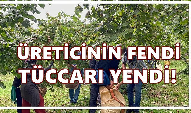 Fındıkta roller değişti: Üreticinin fendi tüccarı yendi