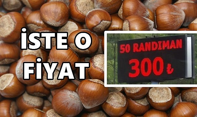 Fındıkta Tarihi Rekor: 300 TL