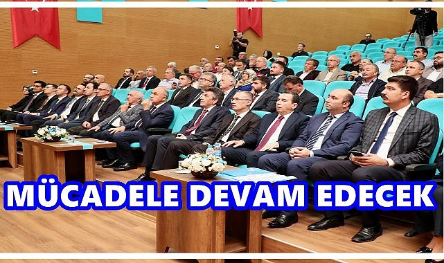 Fındıkta Tehdit Sürüyor: Kahverengi Kokarca ile Mücadele Devam Edecek