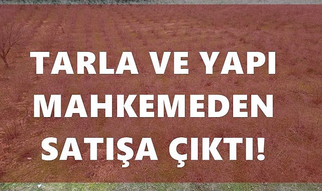 Gürgentepe Çatalağaç Mahallesi’nde Tarla ve Yapı Satışa Çıkıyor