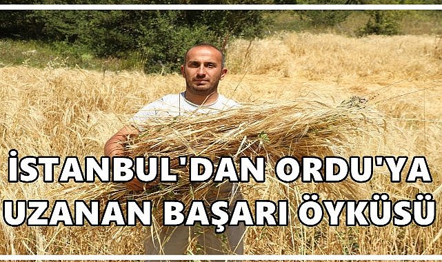 İstanbul’dan Ordu&#039;daki Köyüne Döndü, 200 Dönüm Araziyi Tarıma Kazandırdı