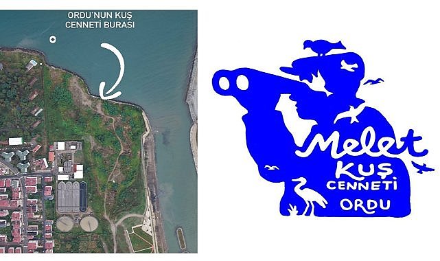 Melet Irmağı’nın Ağzında Kuş Cenneti: 3 Günde 104 Tür Gözlendi