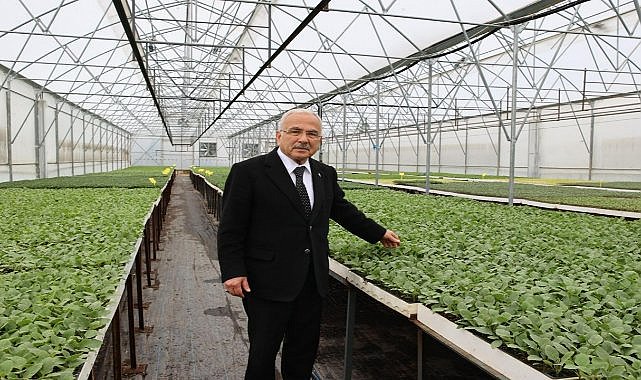 Ordu Büyükşehir Belediyesi 6 Yılda 4,5 Milyon Sebze Fidesi Dağıttı
