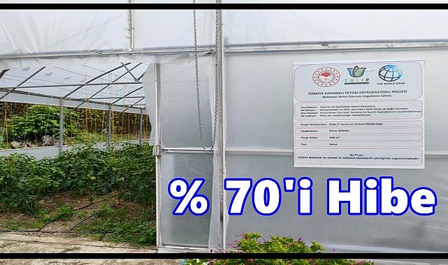 Ordu’da %70 Hibe ile 10 Yeni Sera Üretime Açıldı