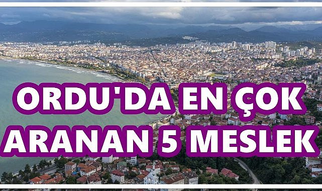 Ordu’da En Çok Aranan 5 Meslek Belli Oldu