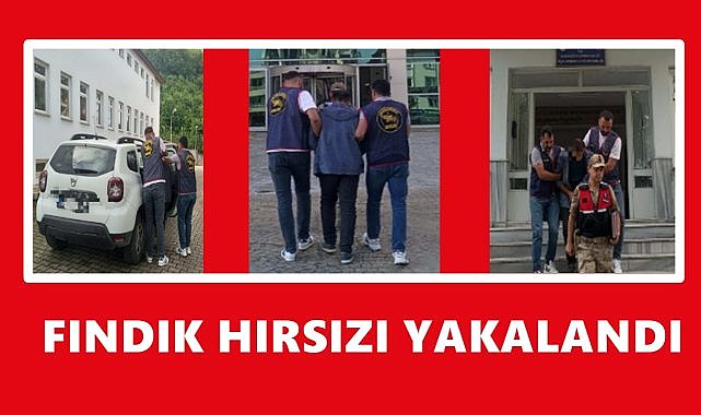 Ordu’da Fındık Hırsızı JASAT’ın Operasyonuyla Yakalandı