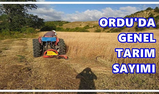 Ordu’da Genel Tarım Sayımı Çalışmaları Sürüyor