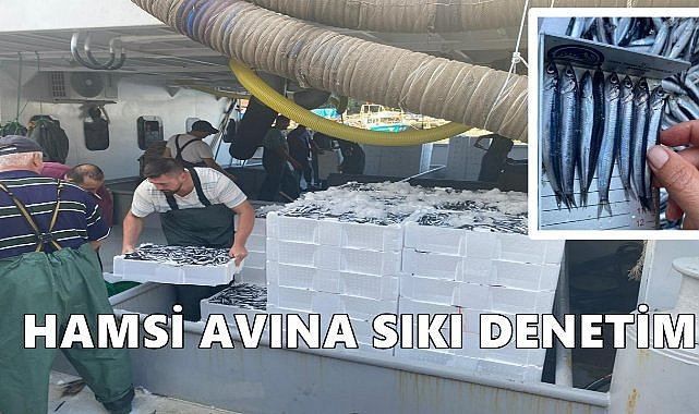 Ordu’da Hamsi Avcılığına Sıkı Denetim: 19 Balıkçı Gemisine Sefer Onayı Verildi