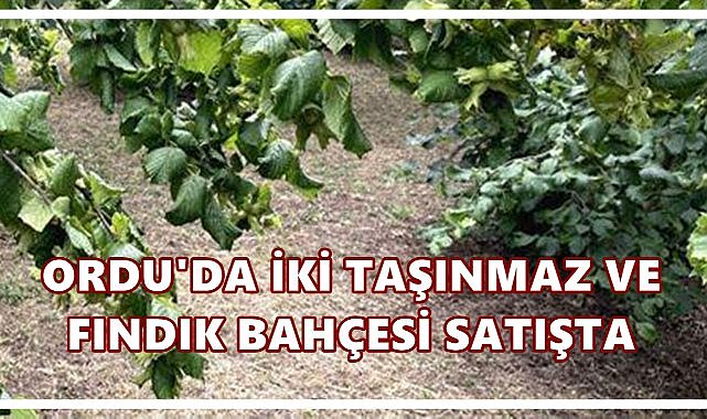 Ordu’da İki Taşınmaz Satışa Çıkıyor