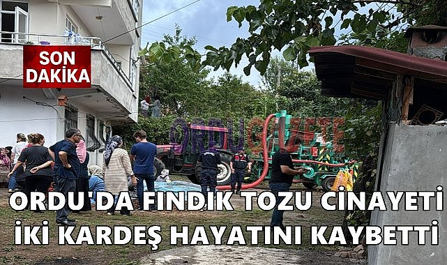 Ordu&#039;da  Fındık Tozu Kavgası: İki Kardeş Hayatını Kaybetti