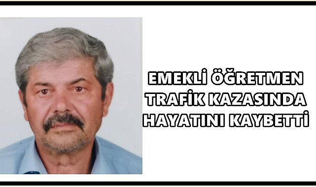 Ordu Ulubey Yolunda  Kaza: Emekli Öğretmen Hayatını Kaybetti