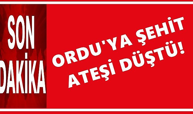 Ordulu Polis Hasan Akın İzmir’de şehit oldu