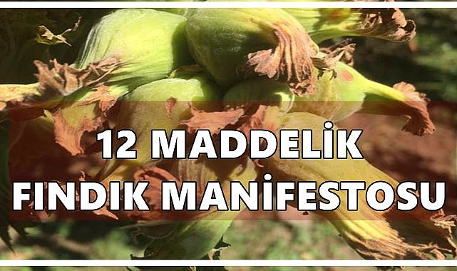 Rum Tüccar’dan 12 Maddelik Fındık Manifestosu