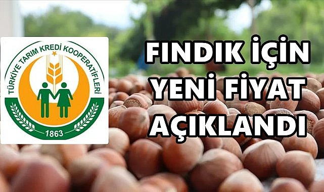 Tarım Kredi’den Fındık Fiyatı: Net 333 Lira 17 Kuruş