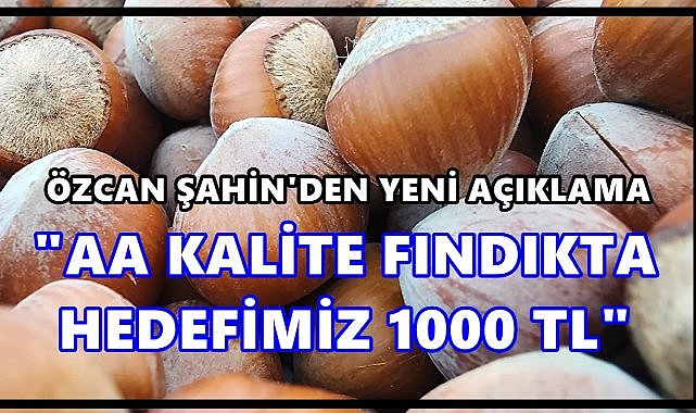 Tüccar AA Kalite Fındığı  1.000 TL &#039;den Almaya Hazırlanıyor