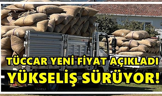 Tüccar Fındık Fiyatı Açıkladı;Fındık fiyatı Yükselişte