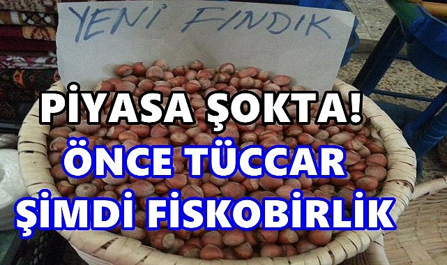 Tüccarın Ardından Fiskobirlik de Fındık Fiyatını Düşürdü