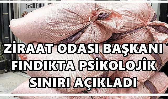 Ziraat Odası Başkanı  Fındıkta Psikolojik Sınır Açıkladı; İşte O Rakam