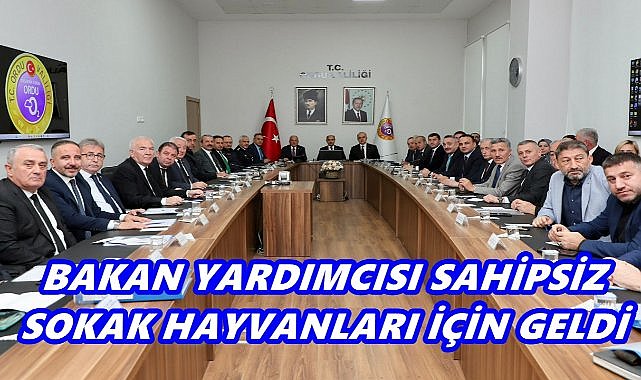 Bakan Yardımcısı Aktaş, Sahipsiz Sokak Hayvanları İçin Ordu&#039;da