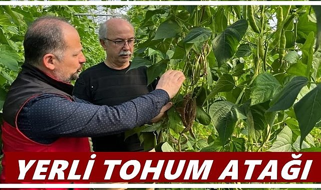  Fatsa Ziraat Odası’ndan Yerli Tohum Atağı