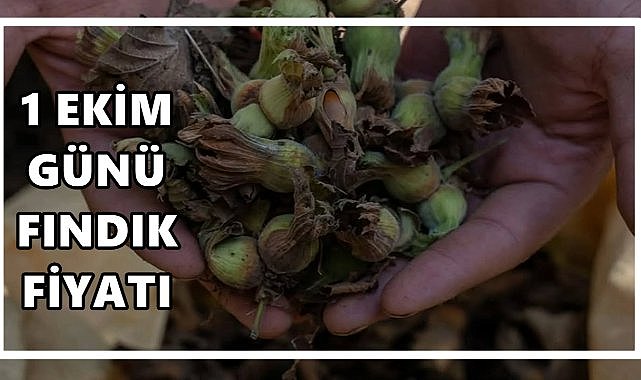 Fındık Fiyatı 1 Ekim 2025 Çarşamba