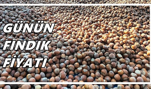 Fındık Fiyatı 12 Ekim 2025 Pazar