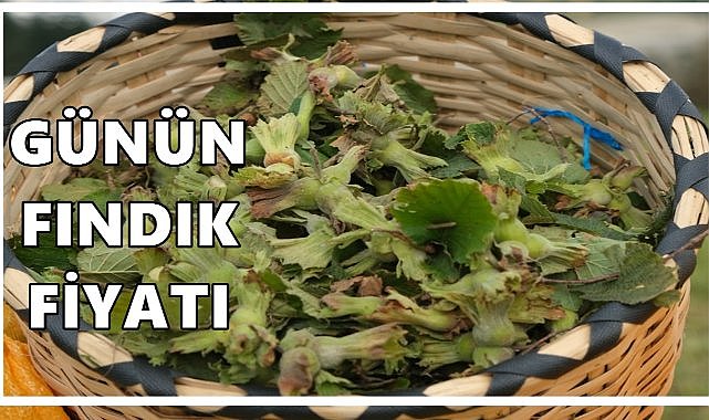 Fındık Fiyatı 2 Ekim Perşembe