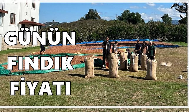 Fındık Fiyatı 27 Ekim 2025 Pazartesi