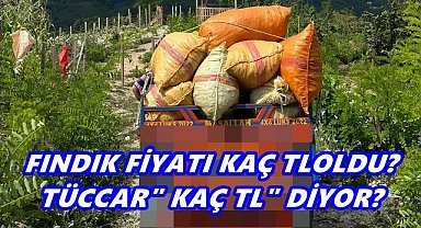 Fındık Fiyatı 28 Ekim 2025 Salı