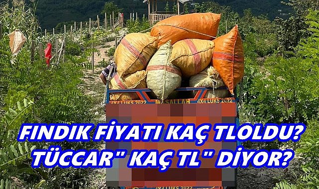 Fındık Fiyatı 28 Ekim 2025 Salı