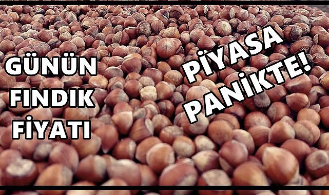 Fındık Fiyatı 3 Ekim 2025 Cuma
