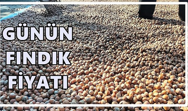 Fındık Fiyatı 4 Ekim Cumartesi
