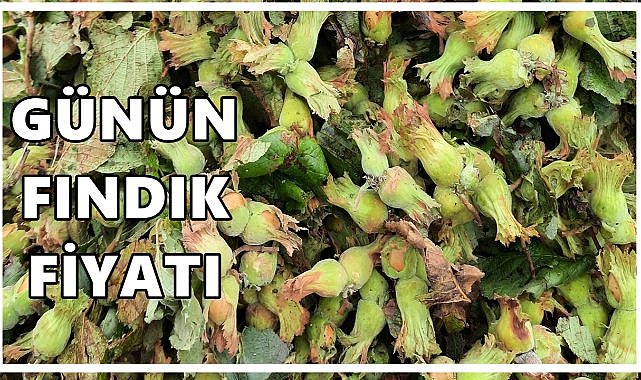 Fındık Fiyatı 5 Ekim 2025 Pazar