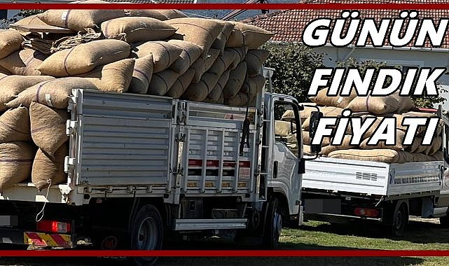 Fındık Fiyatı Açıklandı 15 Ekim 2025 Çarşamba