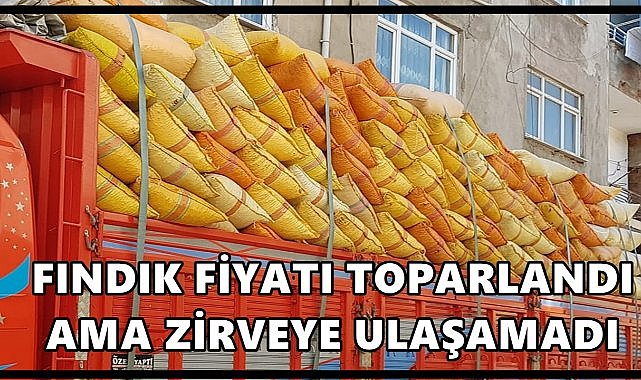 Fındık Fiyatı Toparlandı Ama Zirveye Ulaşamadı