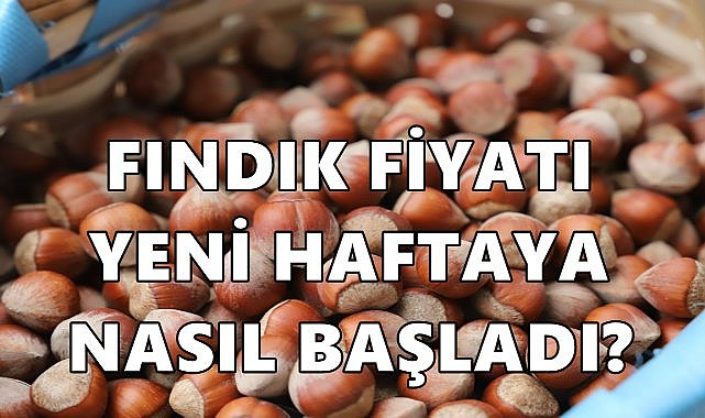 Fındık Fiyatı Yeni Haftaya Nasıl Başladı? Fındık Fiyatı