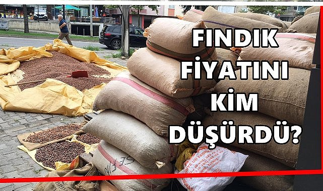 Fındık Fiyatını Kim Düşürdü? Bir Haftada 55 TL Geri Geldi